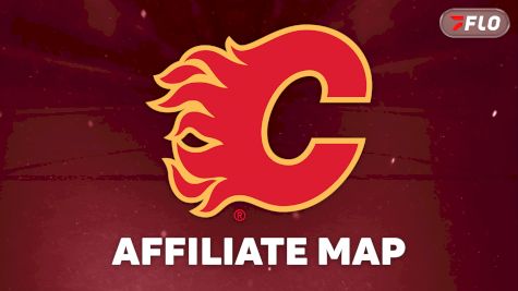 NHL Affiliate Map: What Calgary Flames Fans Need To Know