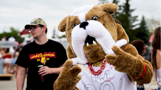 There's a Knight In The Doghouse: Kentucky Christian Visits Ferris State D2 Football Preview