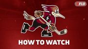 How To Watch Utah Mammoth Prospects In 2026-27