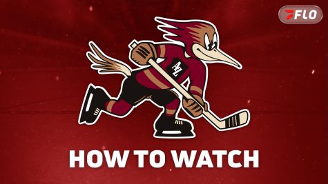 How To Watch Utah Mammoth Prospects In 2026-27