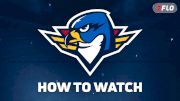 How To Watch St. Louis Blues Prospects In 2026-27