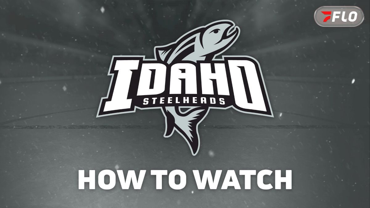 How To Watch Idaho Steelheads In 2026-27 And Why Stars Fans Should Watch