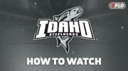 How To Watch Idaho Steelheads In 2026-27 And Why Stars Fans Should Watch
