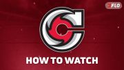 How To Watch Cincinnati Cyclones In 2026-27 And Why Maple Leafs Fans Should Watch