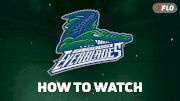 How To Watch Florida Everblades In 2026-27 And Why Penguins Fans Should Watch