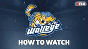 How To Watch Toledo Walleye In 2026-27 And Why Red Wings Fans Should Watch