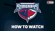 How To Watch South Carolina Stingrays In 2026-27 And Why Capitals Fans Should Watch
