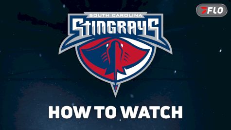 How To Watch South Carolina Stingrays In 2026-27 And Why Capitals Fans Should Watch