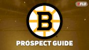 Boston Bruins Prospect Guide: NHL Prospects To Watch In 2026-27