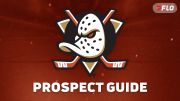 Anaheim Ducks Prospect Guide: NHL Prospects to Watch in 2026-27