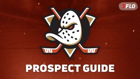 Anaheim Ducks Prospect Guide: NHL Prospects to Watch in 2026-27