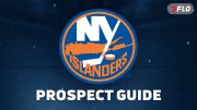 New York Islanders Prospect Guide: Hamilton Hammers Players To Watch In 2026-27