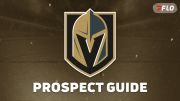 Vegas Golden Knights Prospect Guide: Henderson Silver Knights Players To Watch In 2026-27