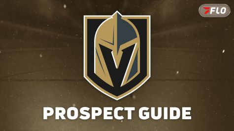 Vegas Golden Knights Prospect Guide: Henderson Silver Knights Players To Watch In 2026-27