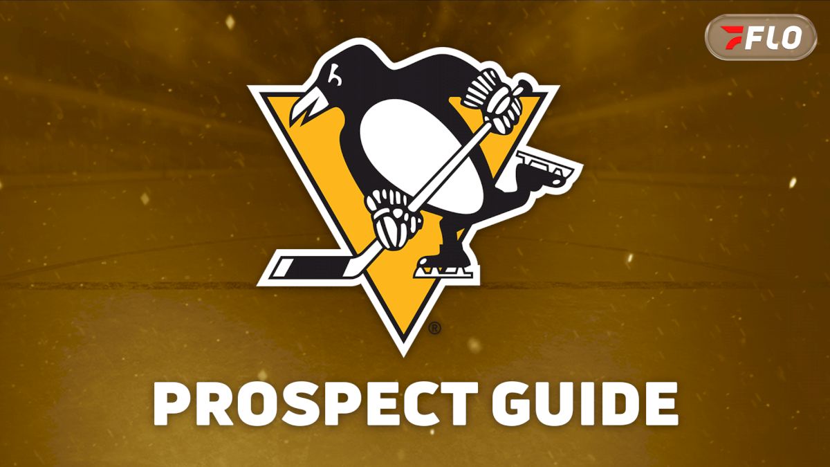Pittsburgh Penguins Prospect Guide: Wilkes-Barre/Scranton Penguins Players To Watch In 2026-27