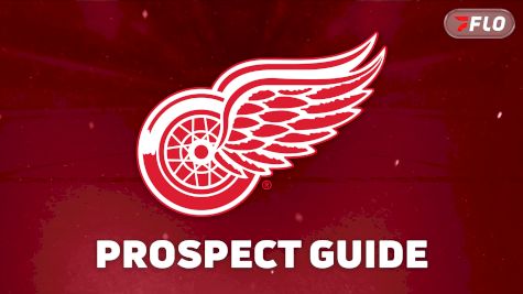 Detroit Red Wings Prospect Guide: NHL Prospects To Watch In 2026-27
