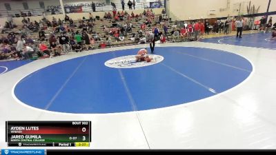 157 lbs Cons. Round 2 - Jared Gumila, North Central College vs Ayden Lutes, Wabash