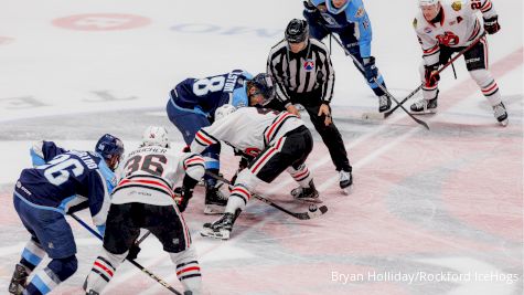 Watch AHL Preseason Games Streaming On FloHockey