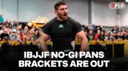 The Black Belt Brackets Are Out For The IBJJF No-Gi Pan Championship