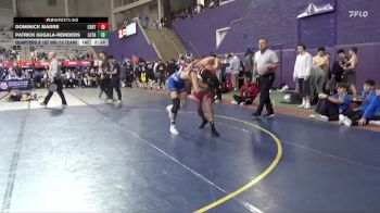 125 lbs Quarters & 1st Wb (16 Team) - Patrick Gugala-Reinders, Luther vs Dominick Marre, Central