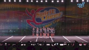 Florida Top Dog All Stars - Drizzle [2023 L1 Mini Day 2] 2023 Spirit Cheer Dance Grand Nationals & Cheer Nationals