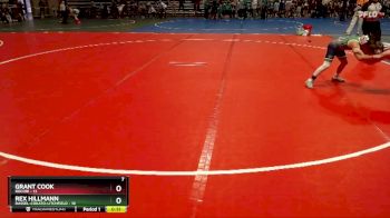 84 lbs Placement (4 Team) - Rex Hillmann, Dassel-Cokato-Litchfield vs Grant Cook, Rocori