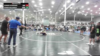 128 lbs Rr Rnd 4 - Connor Schwanke, Downingtown West - HS vs Conor Hallowich, Pocono Mountain Regional Wrestling Club - HS