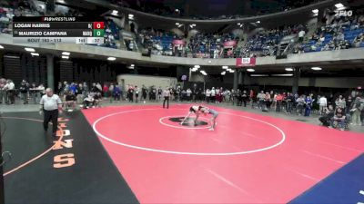 113 lbs Champ. Round 2 - Maurizio Campana, Fenwick vs Logan Harris, Rockton (Hononegah)