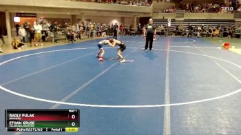 65 lbs Champ. Round 1 - Radly Pulak, Brainerd vs Ethan Kruse, Caledonia/Houston