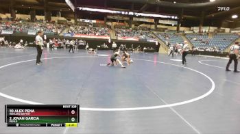 133 lbs Quarterfinal - 10 Alex Pena, Wayland Baptist vs 2 Jovan Garcia, Menlo