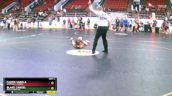 135 lbs Quarterfinal - Blake Cancel, Ohio Dawgz WC vs Caden Varela, Whitehall Vikings