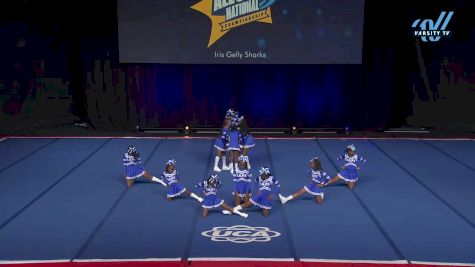 Iris Gelly Sharks [2025 L1 Youth - Small Day 1] 2025 UCA & UDA All Star National Championship
