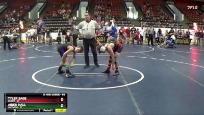 85 lbs Cons. Round 1 - Tyler Sage, Linden vs Aiden Hall, Lakeview