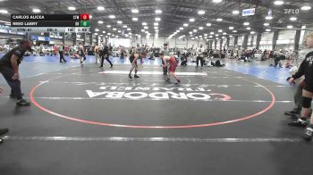 142 lbs Rr Rnd 1 - Carlos Alicea, CTWHALE Orca - MS vs Reed Labry, Dover Bandits - MS