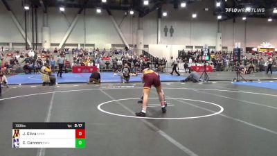 133 lbs Quarters - Jake Gliva, Minnesota vs Chris Cannon, Northwestern