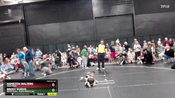 47 lbs Cons. Semi - Hamilton Walters, Team Tiger vs Brody Purvis, White Knoll Youth Wrestling