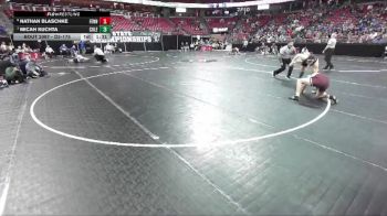 D2-175 lbs Quarterfinal - Micah Kuchta, Coleman vs Nathan Blaschke, Fennimore