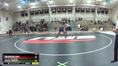 285 lbs 3rd Place Match - Wilkinson Saul, Brewton-Parker (GA) vs Gavin Harper, Reinhardt University (GA)