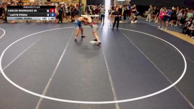 285 lbs Cons. Semis - Carlos Rodriguez Jr., SD vs Lakyr Peska, IA