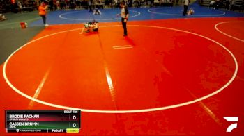 105 lbs Semifinal - Cassen Brumm, ANML vs Brodie Pachan, LPGE/B Wolves