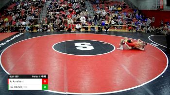 139 lbs Cons. Round 5 - Adam Haines, Fox Chapel Area Hs vs Angelo Amelio, North Catholic