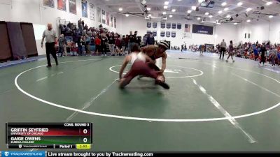 133 lbs Cons. Round 3 - Gaige Owens, Eureka College vs Griffin Seyfried, University Of Chicago