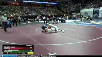 113 Class 1 lbs Semifinal - Peyton Parn, Brookfield vs Dallas Grippando, Mid-Buchanan