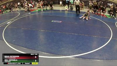 51 lbs Cons. Round 5 - Brax Peterson, Athlos Wrestling vs Rex Orpinela, Shootbox