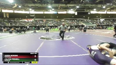 138 lbs Cons. Round 1 - Jaden Borsini, Yerington vs Colton Peshell, Riverton