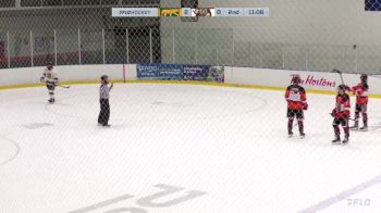 Replay: Home - 2024 CHI Cougars vs Gamblers | Nov 8 @ 8 AM