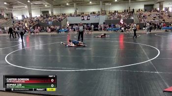 95 lbs Cons. Round 1 - Carter Gordon, Wildcats Wrestling vs Sophia Lee, Seymour Wrestling