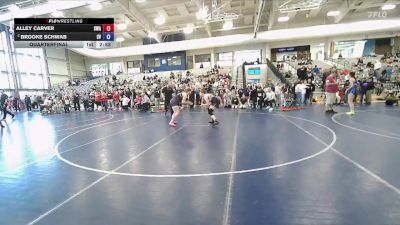 165 lbs Quarterfinal - Alley Carver, Sanderson Wrestling Academy vs Brooke Schwab, Star Valley