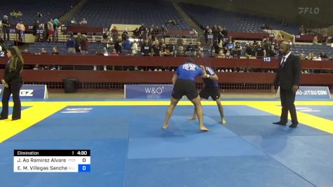Julio Ao Ramirez Alvarez vs Eric M. Villegas Sanchez 2024 Pan IBJJF Jiu-Jitsu No-Gi Championship