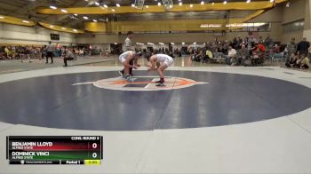 141 lbs Cons. Round 3 - Dominick Vinci, Alfred State vs Benjamin Lloyd, Alfred State